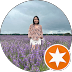 Review 8